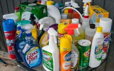 Common Household Cleaning Agents: Safety and Efficacy