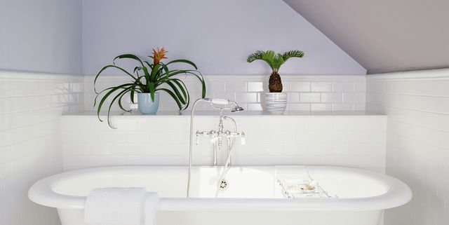 How To Clean Your Kitchen and Bathroom with White Vinegar