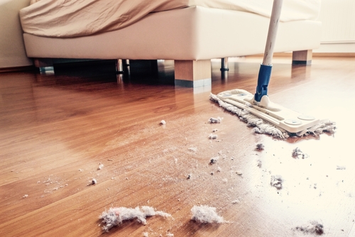 17 Surefire Ways to Reduce Dust in Your Home