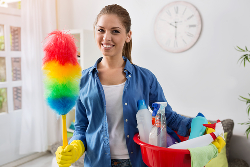 Professional House Cleaning Services